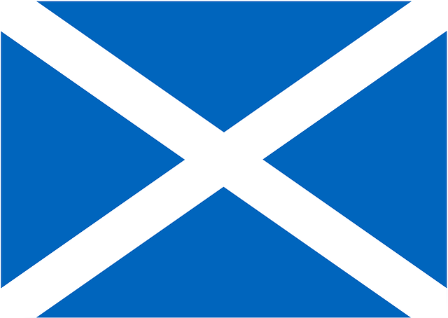 die Flagge Schottlands